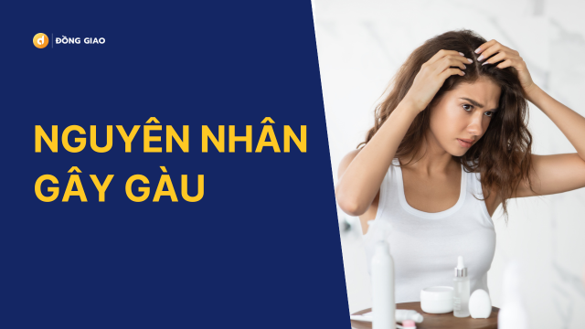 Nguyên nhân gây bệnh gàu 