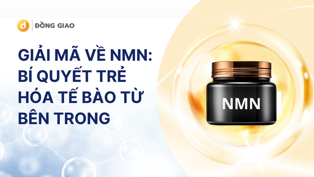 Giải mã về NMN_ Bí quyết trẻ hóa tế bào từ bên trong