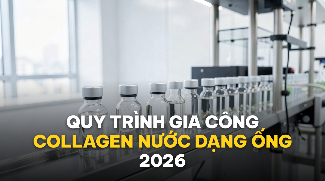 Gia công collagen nước dạng ống: Quy trình & tiêu chuẩn 2026