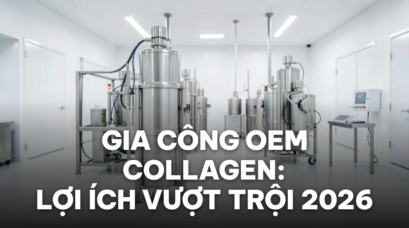 Gia Công OEM Bột Collagen vs Sản Xuất Nội Bộ 2026: Lợi Ích Vượt Trội