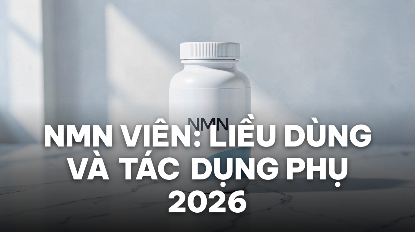 NMN Viên: Liều Dùng Và Tác Dụng Phụ Cần Biết Năm 2026 | Đồng Giao