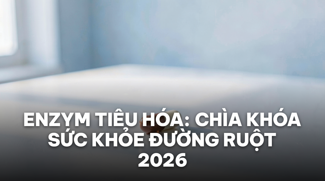 Enzym Tiêu Hóa: Vai Trò Quan Trọng Với Sức Khỏe Đường Ruột 2026 | Đồng Giao